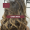 Capa Google (13)